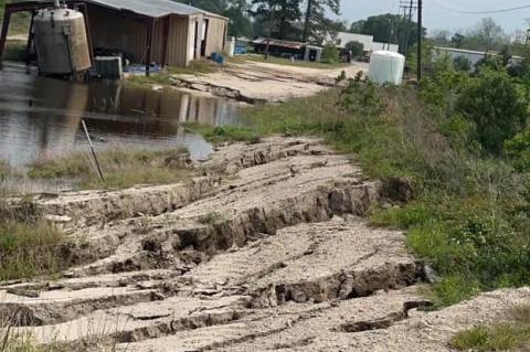 Article Image Alt Text