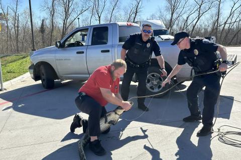 Article Image Alt Text