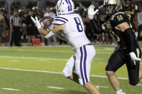 Article Image Alt Text