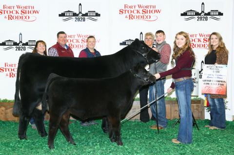 Article Image Alt Text