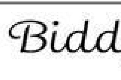 Article Image Alt Text