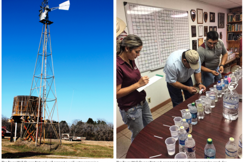 Article Image Alt Text