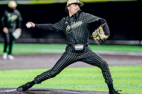 Article Image Alt Text