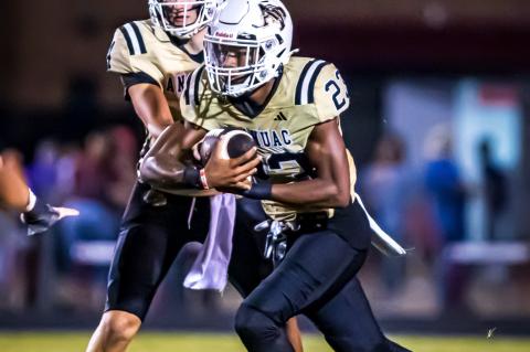 Article Image Alt Text