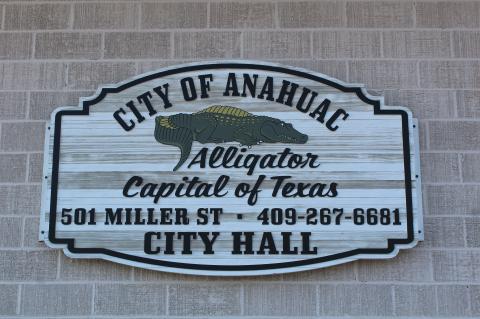 Article Image Alt Text