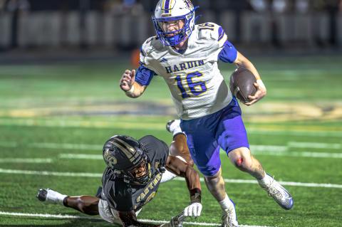 Article Image Alt Text