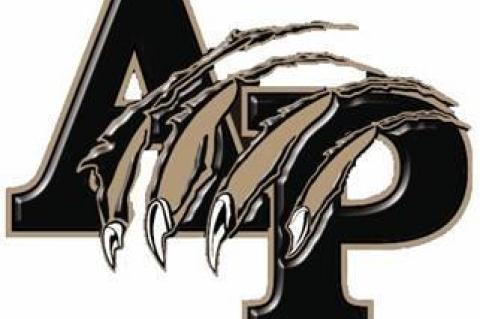 Article Image Alt Text