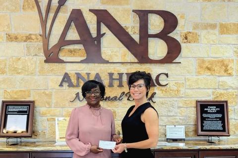 Article Image Alt Text