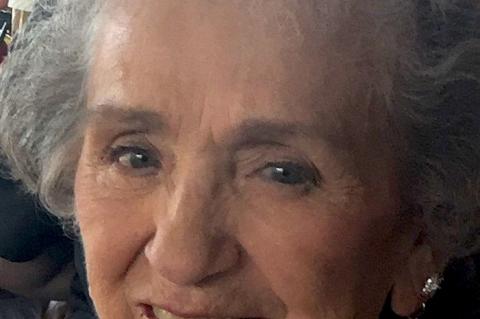 Article Image Alt Text