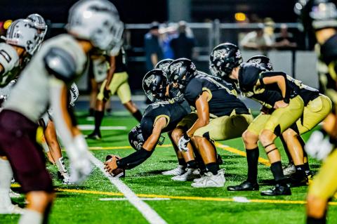 Article Image Alt Text