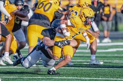 Article Image Alt Text