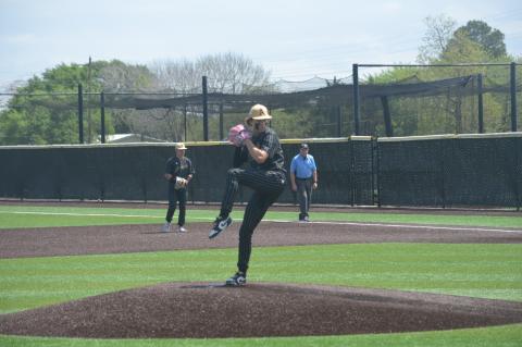 Article Image Alt Text