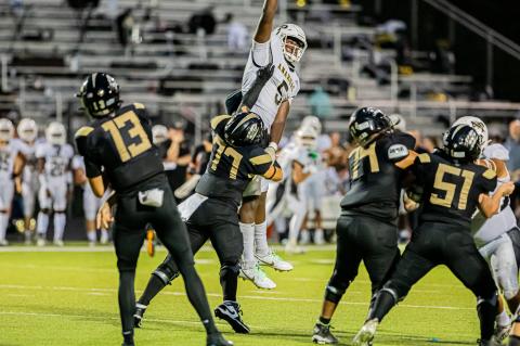 Article Image Alt Text