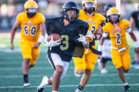 Article Image Alt Text