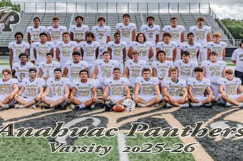 Article Image Alt Text