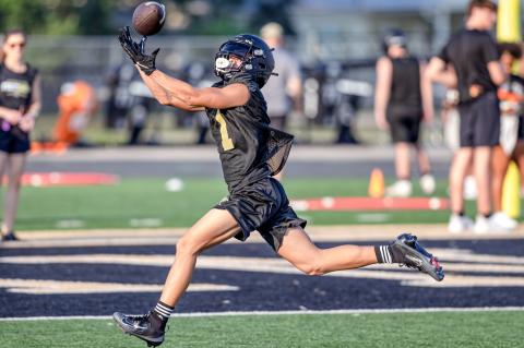 Article Image Alt Text