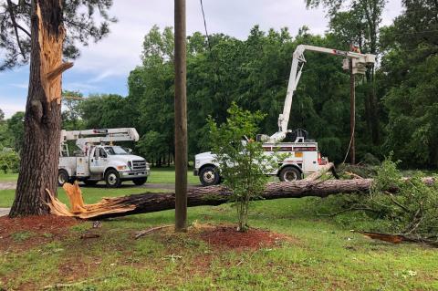 Article Image Alt Text