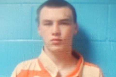 Article Image Alt Text