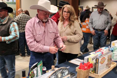 Article Image Alt Text