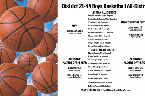 Article Image Alt Text