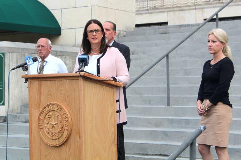 Article Image Alt Text