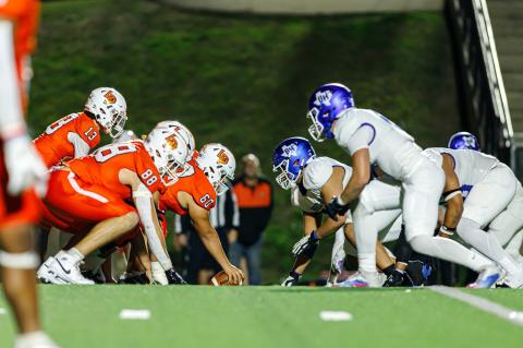 Article Image Alt Text