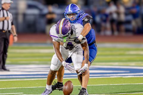 Article Image Alt Text