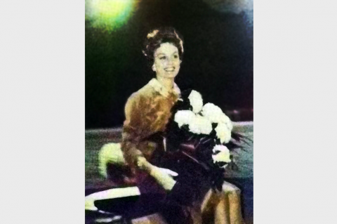 Article Image Alt Text