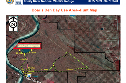 Article Image Alt Text