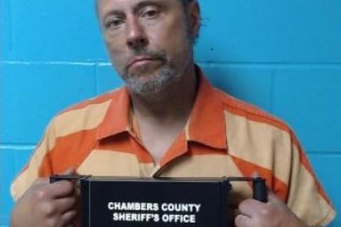 Article Image Alt Text