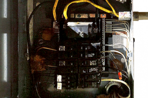 Article Image Alt Text