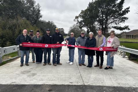 Article Image Alt Text