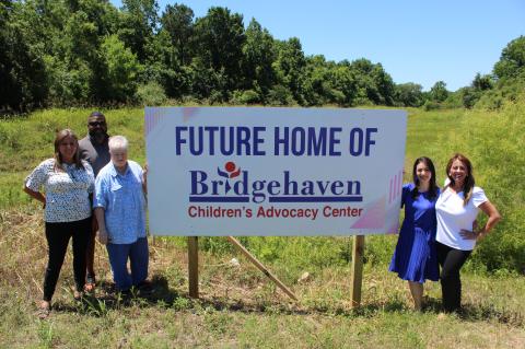 Article Image Alt Text