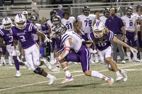 Article Image Alt Text