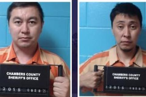 Article Image Alt Text