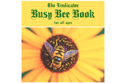 Article Image Alt Text