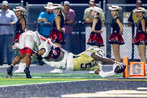 Article Image Alt Text