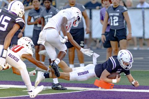 Article Image Alt Text