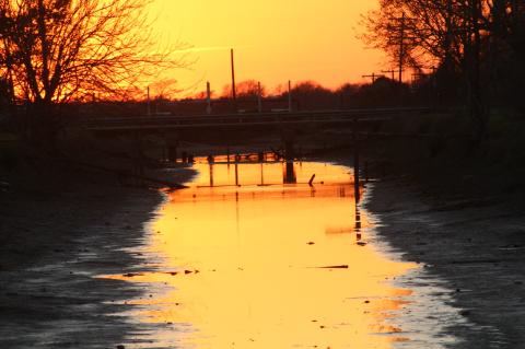 Article Image Alt Text