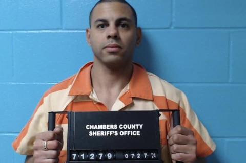 Article Image Alt Text