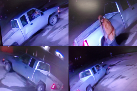 Article Image Alt Text