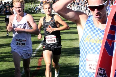 Article Image Alt Text