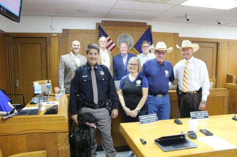 Article Image Alt Text