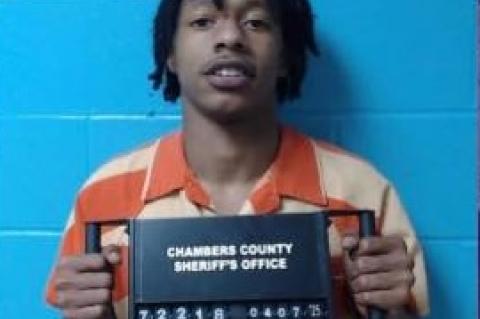 Article Image Alt Text