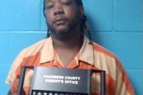 Article Image Alt Text