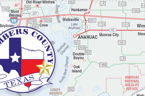 Article Image Alt Text