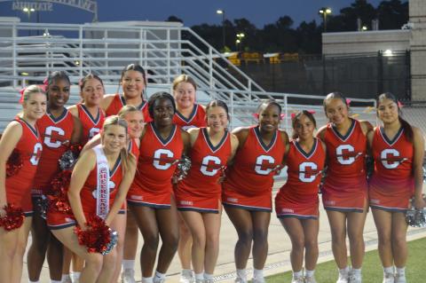 Article Image Alt Text