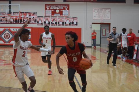 Article Image Alt Text