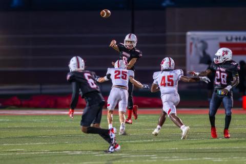 Article Image Alt Text