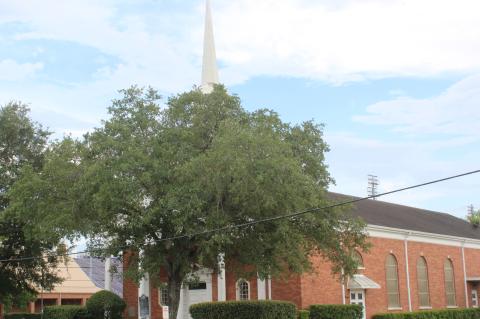 Article Image Alt Text